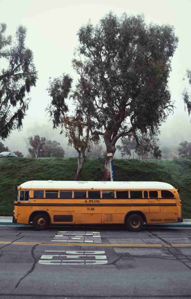 buses from DC to NYC