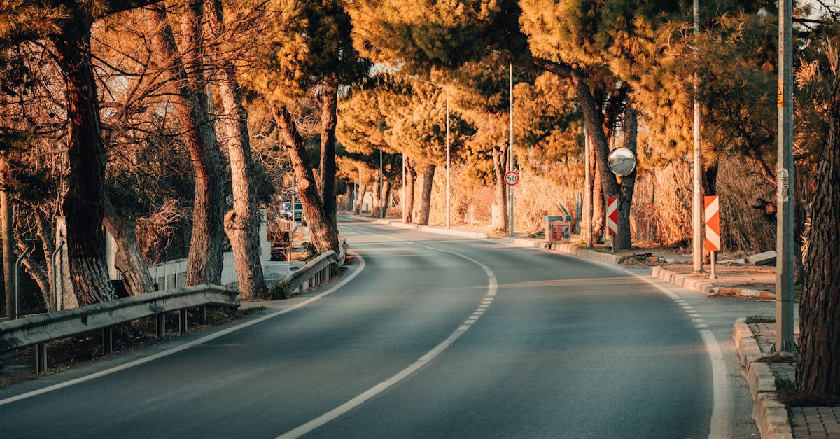 Idyllic winding road through autumn trees in Urla, capturing tranquility and scenic beauty.