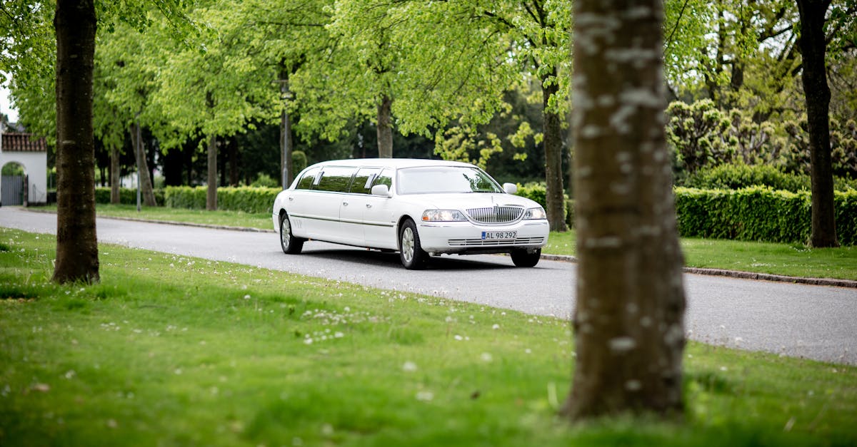 A sleek white limousine driving on a road with lush green trees in the background.